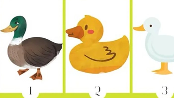Quiz: Bạn là người kiên định, thực tế hay sáng tạo, lạc quan?