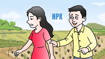 Tình ta tan nhanh hơn cả phân NPK