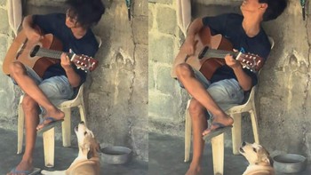 Chú chó 'hát' cực ngầu khi nghe cậu chủ đánh đàn guitar