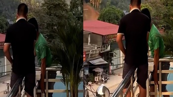Bị ong bao vây, hai thanh niên hóa đá không lời thoại