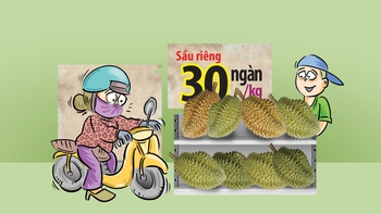 Sự thật sầu riêng 30 ngàn/ký