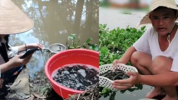 Độc lạ tháng 7: Phóng sinh online - ‘phước’ ship về tận nhà?