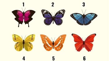 Quiz: Bạn sáng tạo, tự tin hay tốt bụng, cầu toàn?