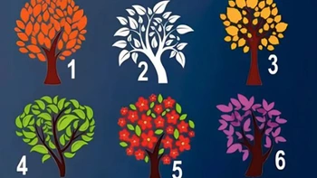 Quiz: Mọi người ấn tượng bạn điều gì?