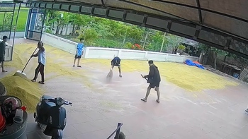 'Đội quân nhí' được đãi kem khi cào lúa chạy mưa giúp cụ bà