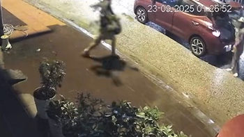 Giữa đêm lái ô tô đi trộm cây kiểng
