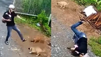 Thanh niên ngã cắm đầu vì trêu chó