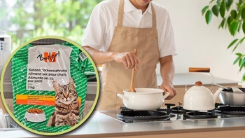 Chàng trai ăn thức ăn cho mèo để có tiền học tiến sĩ