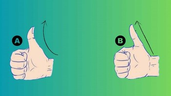Quiz: Bạn trung thực, thẳng thắn hay là người vui vẻ, thân thiện?