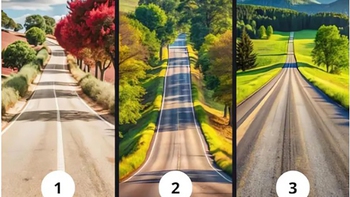 Quiz: Con đường bạn chọn sẽ tiết lộ tương lai của bạn