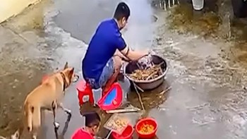 Video hài nhất tuần qua: Đang nướng thịt thì bị '3 mũi 900.000 đồng'