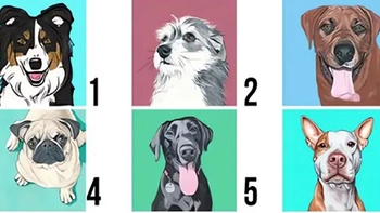 Quiz: Bạn cởi mở, hào phóng hay là người lạc quan?