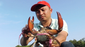 Định vị thương hiệu du lịch Cà Mau