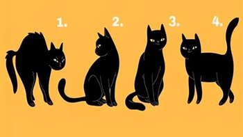 Quiz: Bạn cẩn thận, ngăn nắp hay là người tự tin, yêu đời