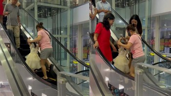 Người phụ nữ bỏ cuộc khi đi ngược chiều thang cuốn ở Nội Bài