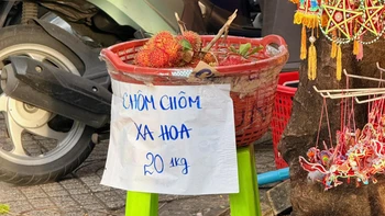 Ảnh vui 5-9: 'Chôm chôm xa hoa' dành cho người giàu?