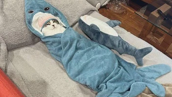 Ảnh vui 8-9: 'Baby Shark, doo doo doo doo'
