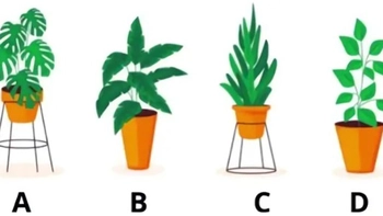 Quiz: Bạn nhạy cảm hay là người cởi mở, lạc quan?