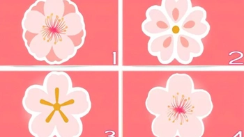 Quiz: Phẩm chất khiến bạn đặc biệt thu hút người khác là gì?