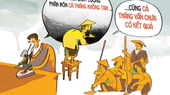Nông dân 'dài cổ' vì phân bón giả