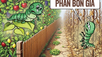 Sâu bọ cũng chào thua phân bón giả