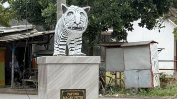Tượng hổ trắng ở Indonesia gây sốt vì ngoại hình... khó đỡ
