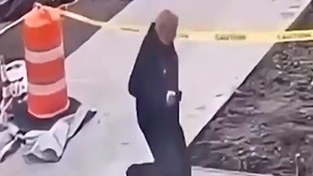 Bực bội bản thân vì liên tục bước vào đường bê tông vừa đổ