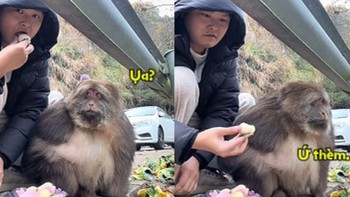 Chú khỉ khó chịu vì bị thanh niên đùa nhây