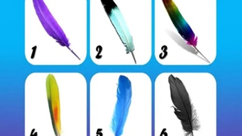 Quiz: Bạn thông minh, ham học hỏi hay là người giàu lòng trắc ẩn