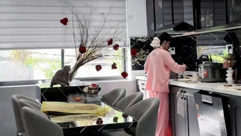 Cô chủ chán không buồn nói khi mèo cưng làm đổ bình hoa