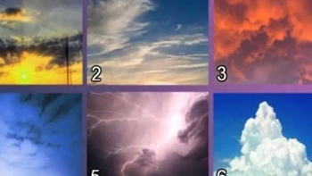 Quiz: Bạn chân thành, lạc quan hay là người ham học hỏi điều mới