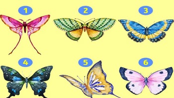 Quiz: Bạn là người lý trí, chín chắn hay sôi nổi, nhiệt huyết