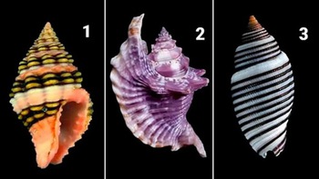 Quiz: Bạn là người nhân hậu và luôn hết lòng vì gia đình, bạn bè?