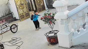 Bé trai nhảy theo nhạc không lệch nhịp nào siêu đáng yêu