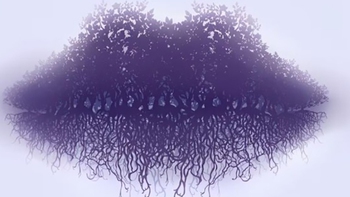 Quiz: Bạn là người tham vọng, luôn nhìn xa hơi người khác?