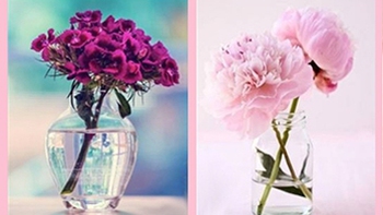 Quiz: Loài hoa yêu thích hé lộ bức tranh tương lai của bạn