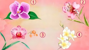 Quiz: Mọi người nghĩ gì về bạn