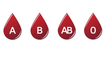 Quiz: Nhóm máu tiết lộ gì về tính cách của bạn?