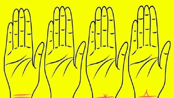 Quiz: Bạn tốt bụng, hào phóng hay là người làm việc chăm chỉ