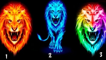 Quiz: Bạn linh hoạt hay là người năng động, thẳng thắn