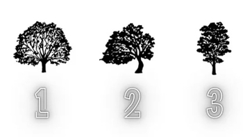 Quiz: Bạn cần thay đổi gì ở bản thân để cải thiện cuộc sống