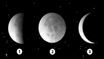 Quiz: Bạn thường dễ yêu kiểu người nào