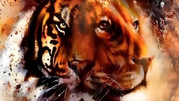 Quiz: Bạn có tố chất lãnh đạo hay thẳng thắn, chân thành