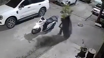 Thanh niên đi SH trộm cây kiểng bị 'nghiệp quật'