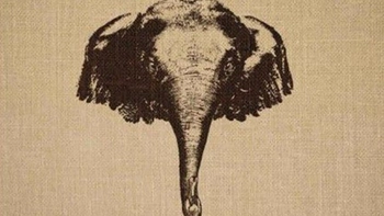 Quiz: Bạn sở hữu nội lực mạnh mẽ hay là người nhạy cảm với cái đẹp