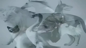 Quiz: Con vật thấy đầu tiên tiết lộ vận mệnh của bạn