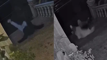 Hai vợ chồng ngã dập mông trên 'một dòng sông'