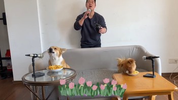 Hai chú chó hát cùng ông chủ siêu đáng yêu