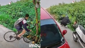 Hai khoảnh khắc từ camera an ninh khiến người xem bất ngờ