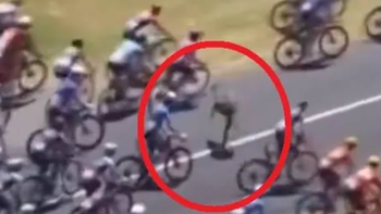 Kangaroo lao vào đoàn đua gây náo loạn ở Tour Down Under 2026